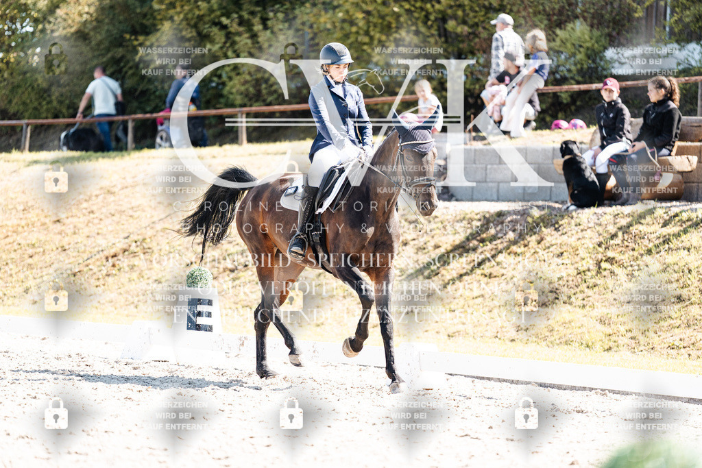 CK903348 | Turnierfotografie Pferdefotografie Trier Rheinland-Pfalz Pferdesport Reitsport Tierfotografie Sportfotografie Pferdevideo Pferdevideografie Equestrianvideography equestrianphotography  - Realisiert mit Pictrs.com