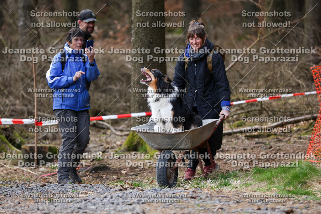 Dog Paparazzi - VCC26-764 | Dog Paparazzi Jeanette Grottendiek Fotografie & Videografie - Realisiert mit Pictrs.com