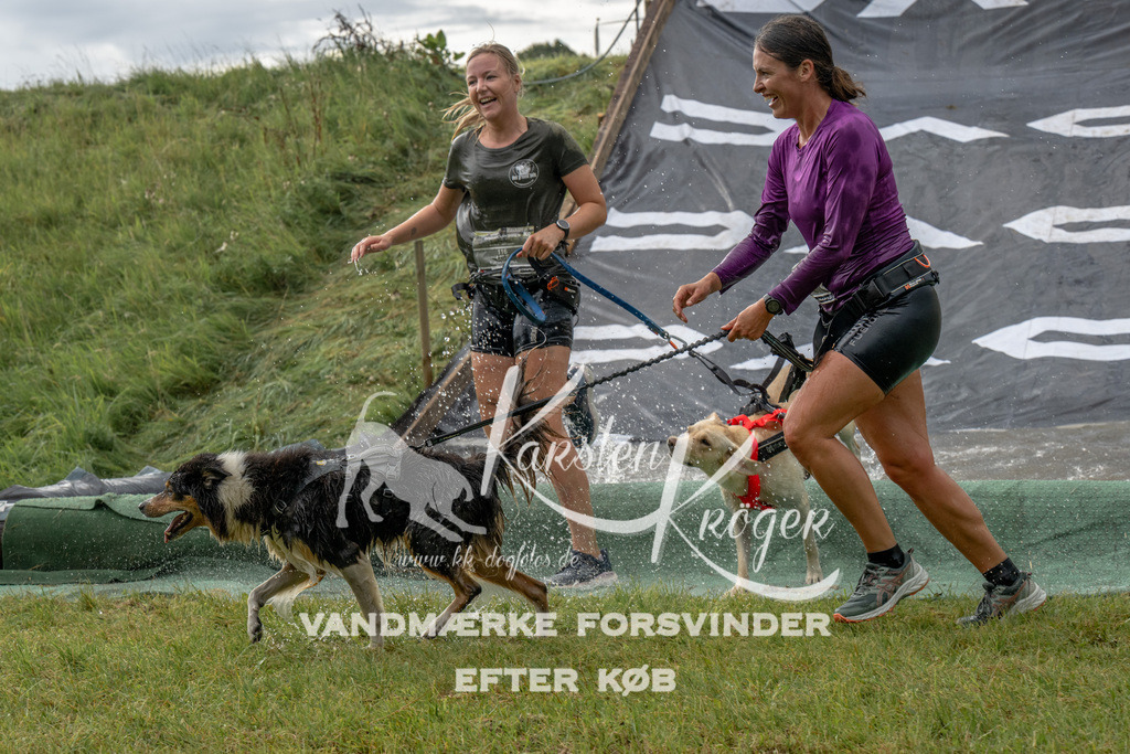 1140_ZZ93296 | kk-dogfotos