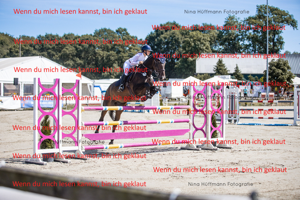 BK1A6556 | Turnierbilder Turnierfotos Nina Hüffmann Turnierfotografie Pferdefotografie Tierzeichnung Haustierzeichnung Pferdezeichnung Hundezeichnung Videograf  - Realisiert mit Pictrs.com