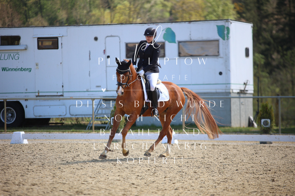 IMGT2200 | pl-fotografie