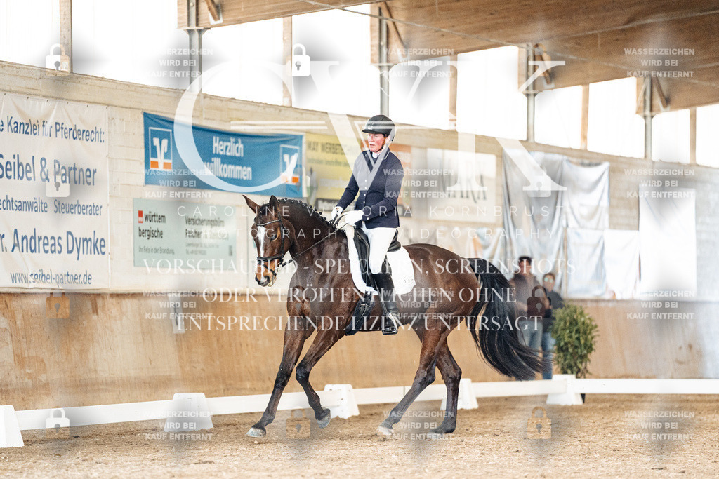 CK901397 | Turnierfotografie Pferdefotografie Trier Rheinland-Pfalz Pferdesport Reitsport Tierfotografie Sportfotografie Pferdevideo Pferdevideografie Equestrianvideography equestrianphotography  - Realisiert mit Pictrs.com