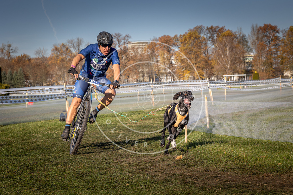 CaniXpix_0L8A5364 | Hundefotografie, Tierfotograf, Pfotenfotografie, Fotoshooting Hund, Hunde Portrait, Hundesport, Hundeportraits, Heideshooting, Hunde, Sportfotograf, Hundefotograf, Turnierhundsport, THS,  - Realisiert mit Pictrs.com