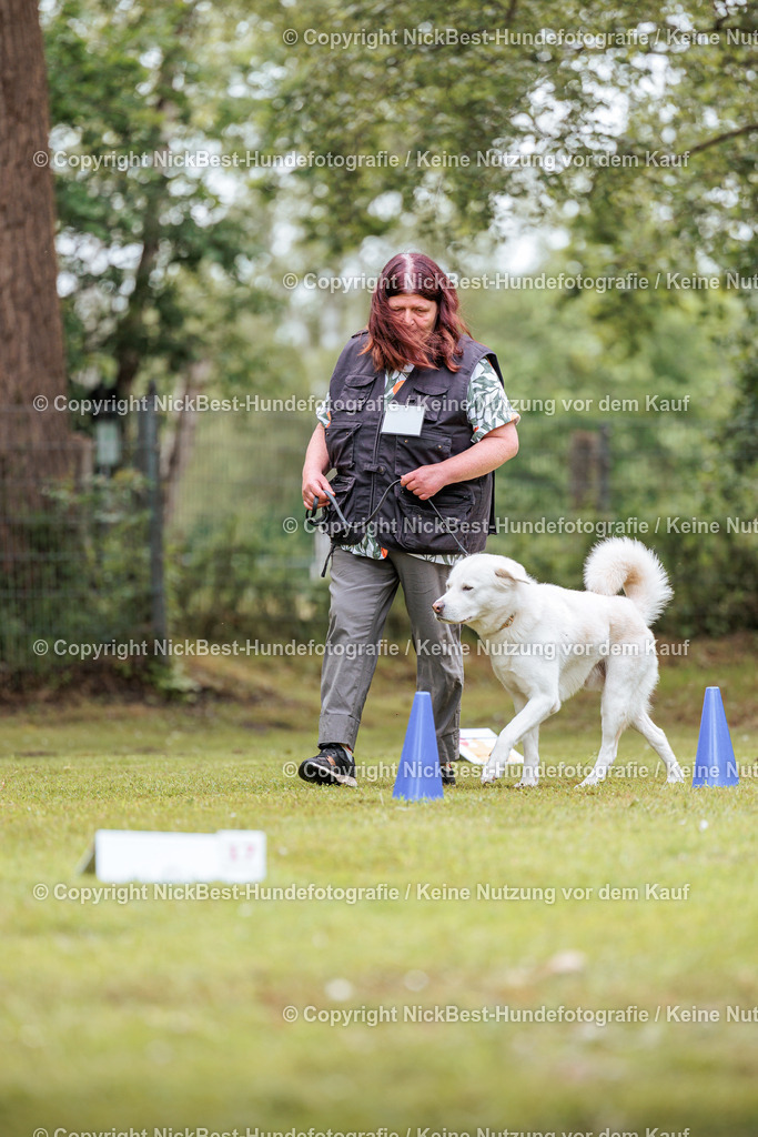 RO-Blumenthal-2026-Nickbest-Hundefotografie-5031 | Dein Hund! Dein Moment! Deine Erinnerungen! Hundefotografie in Bremen Blumenthal. Ich fange die besonderen Momente deines Vierbeiners ein – ob Indoor mit Blitzanlage oder in der freien Natur. Sicher dir dein Moment und dein Termin für eure Erinnerungen.