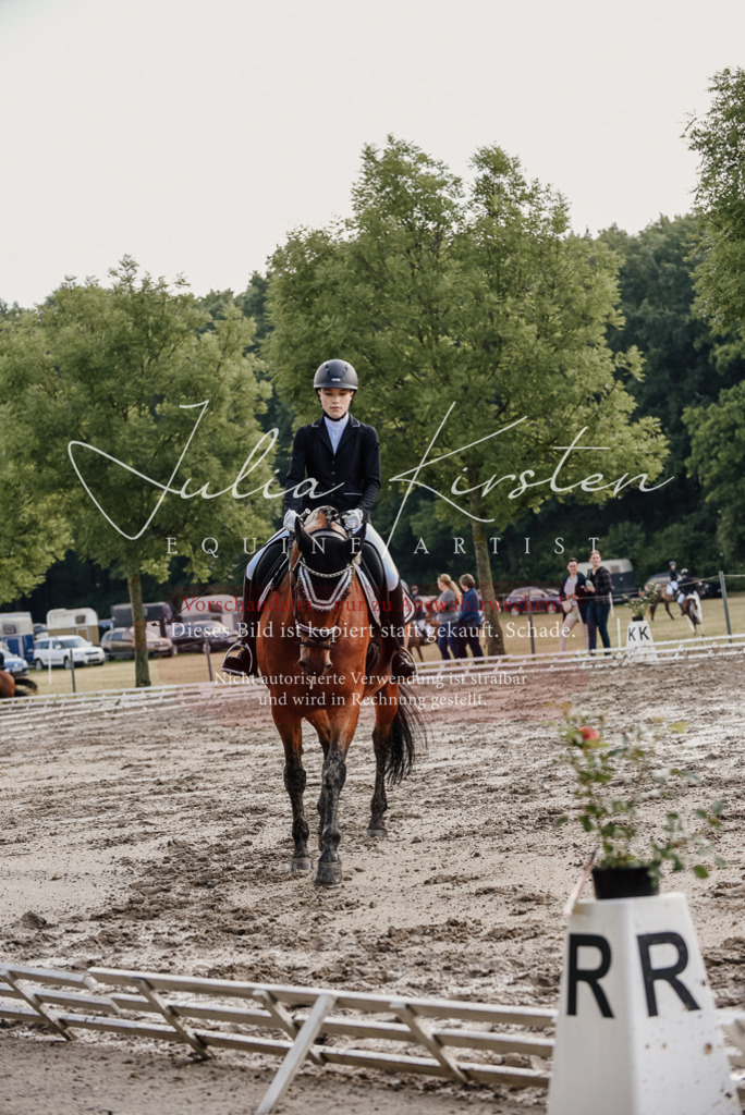 DSC_8177 | Pferde- und Turnierfotografie in Westsachsen. Pferdeportraits, Auftragszeichnungen und intuitive Kunst.