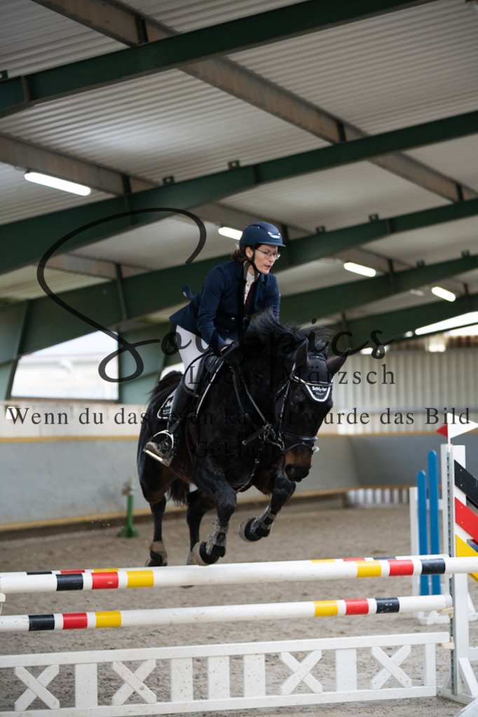 A7V04461 | Pferdefotograf