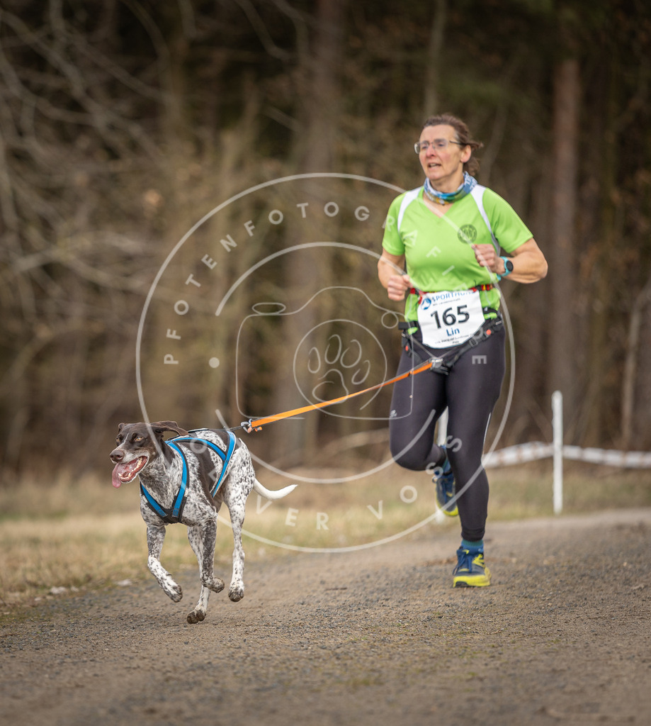 DV3A5360 | Hundefotografie, Tierfotograf, Pfotenfotografie, Fotoshooting Hund, Hunde Portrait, Hundesport, Hundeportraits, Heideshooting, Hunde, Sportfotograf, Hundefotograf, Turnierhundsport, THS,  - Realisiert mit Pictrs.com