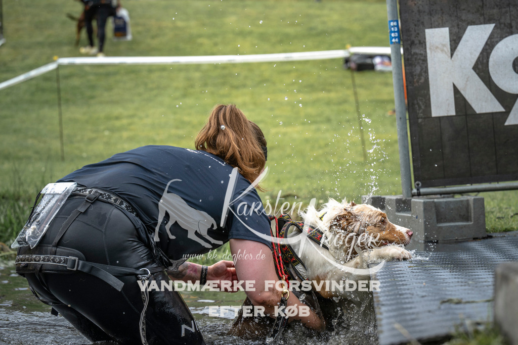 1546_ZZ96617 | kk-dogfotos