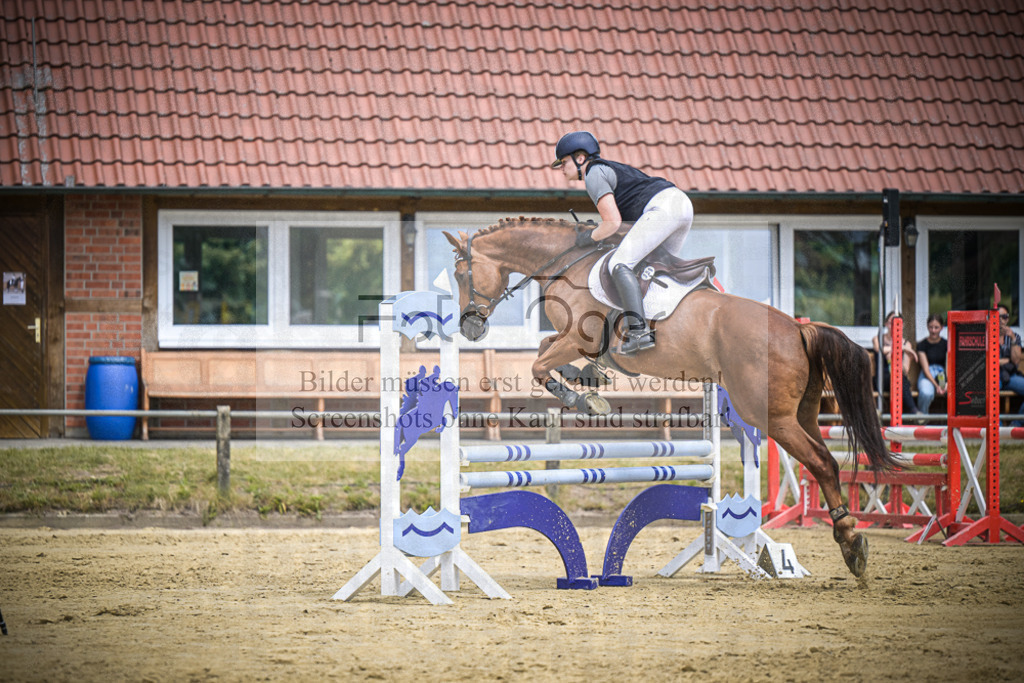 DOS_7382 | Entdecke hochwertige Reitturnierfotos von Foto Oger. Professionell, emotional und authentisch – jetzt Lieblingsmomente im Shop bestellen.Deutschlandweite Turnierfotografie. - Realisiert mit Pictrs.com