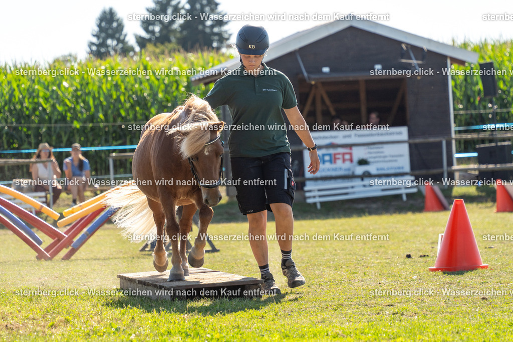 2026-08-08_15-46-23_WBO_Pulsnitz | sternberg.click - Realisiert mit Pictrs.com