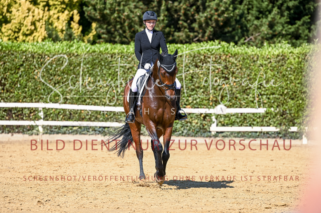 Schugtsche-Aluta25-50.Dressurpferdeprf.L-171 | Schugtsche Fotografie - Realisiert mit Pictrs.com