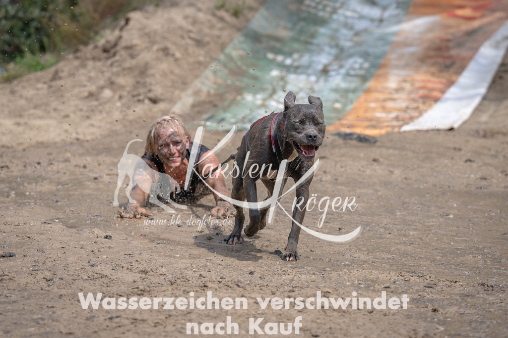 1239_ZZ92942 | kk-dogfotos