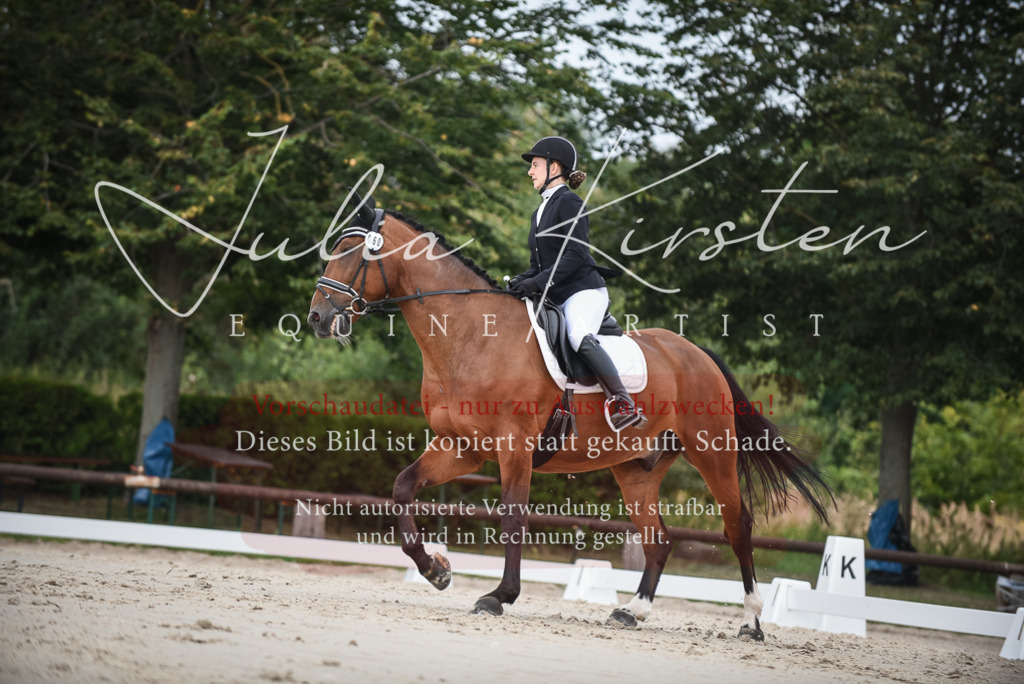 DSC_8080 | Pferde- und Turnierfotografie in Westsachsen. Pferdeportraits, Auftragszeichnungen und intuitive Kunst.