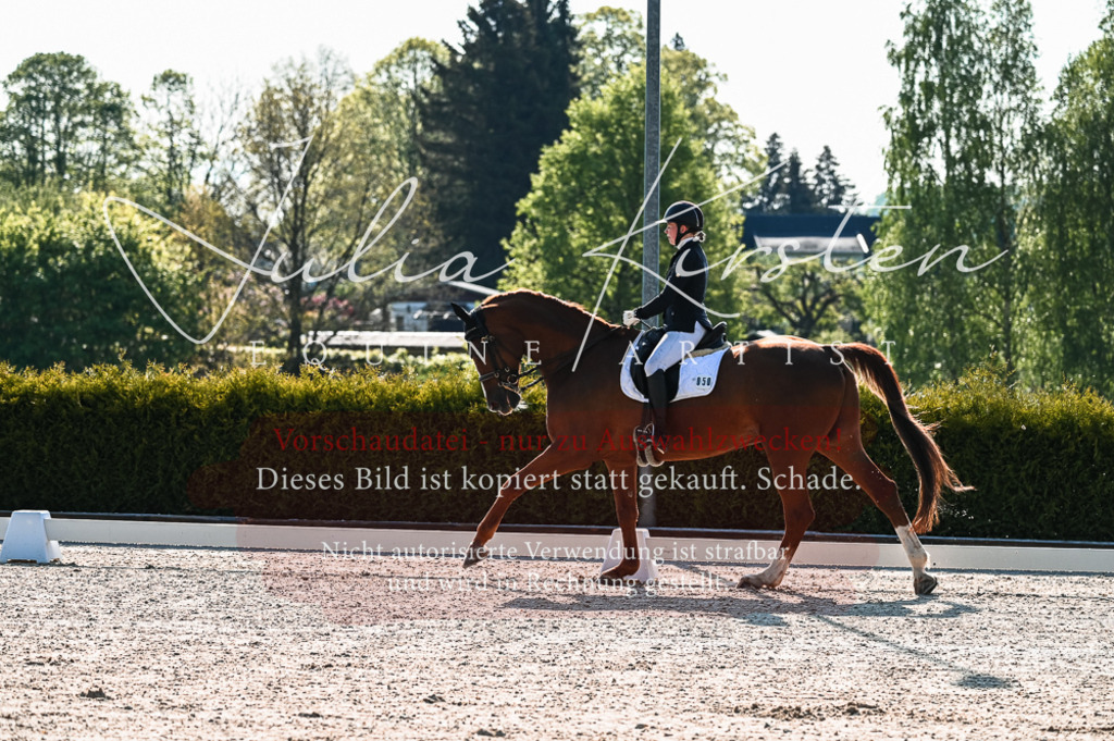 20230513_JK-Röhrsdorf-10-0019 | Pferde- und Turnierfotografie in Westsachsen. Pferdeportraits, Auftragszeichnungen und intuitive Kunst.