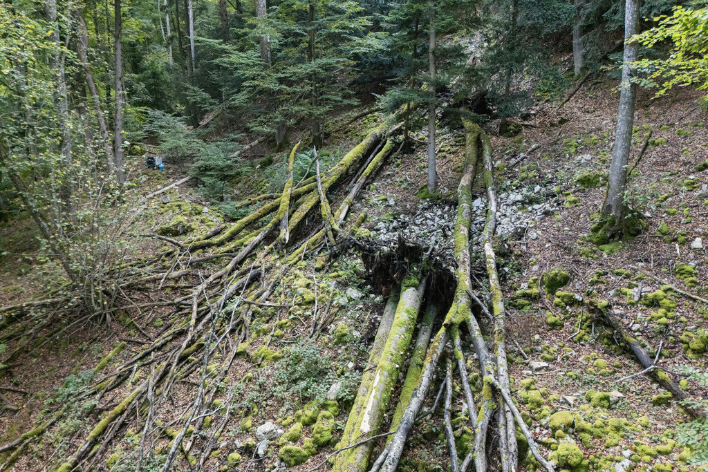 ZD250916101247-2 | default