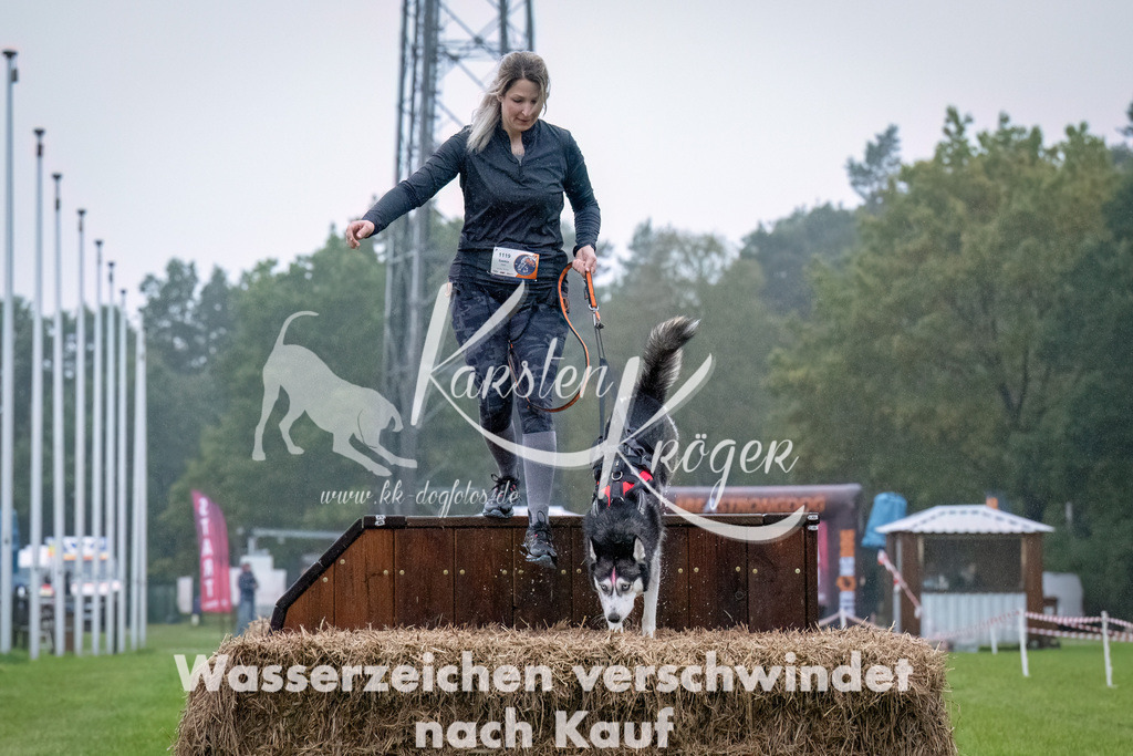 0909-_ZZ93361-Bearbeitet | kk-dogfotos