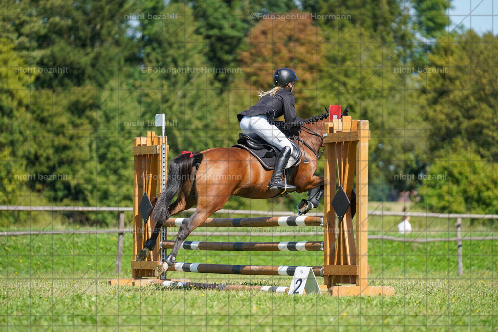 20230917-FAH09386 | Landsberg am Lech, 2023, Kaufbeuren, Kempten, Allgäu, Turnierfotografen Bayern, Fotoagentur Herrmann, Turnierbilder, Reitsport Fotos, Pferdefotograf, Augsburg, Bad Tölz, Dachau, Karlsfeld, Memmingen, Buchloe, Schwabmünchen