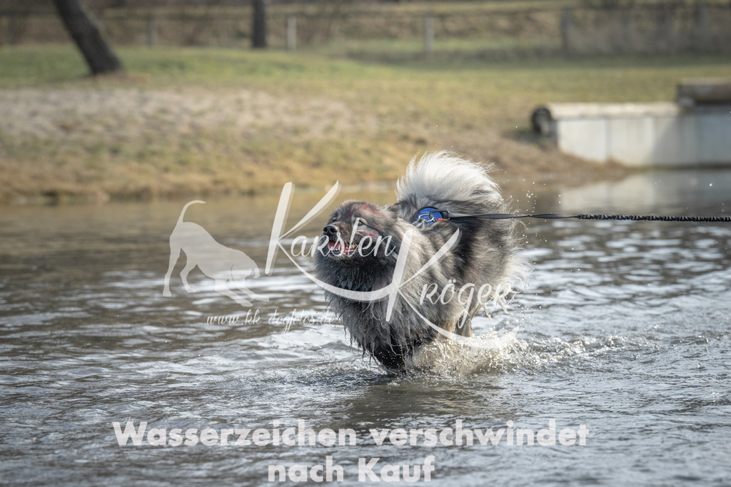 1055_ZZ90749 | kk-dogfotos