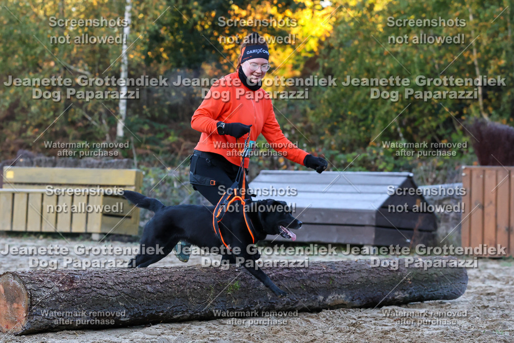 Dog Paparazzi - Strongdog 10-25-258 | Dog Paparazzi Jeanette Grottendiek Fotografie & Videografie - Realisiert mit Pictrs.com