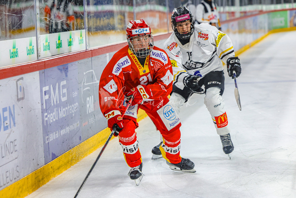 701A3312 | Sportbilder, Sportfotograf, Hochzeits- und Eventfotografin, Flugshows, Portraits und Tiershooting, Aviation, Downhill, Nationalleague, Swissleague, International