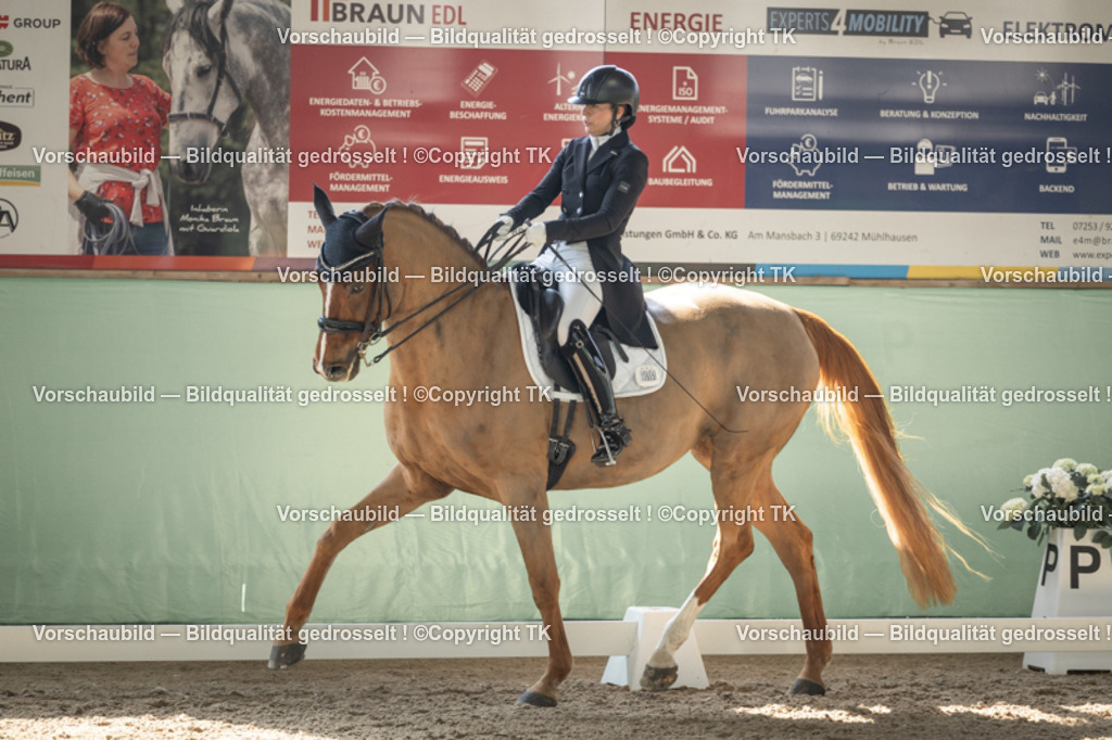 _D5A1351 | Emotionale Pferde- & People-Fotografie rund um Heidelberg, Leimen & Umgebung. Natürliche Fotos von Pferd, Mensch & Familie. Jetzt Termin sichern!