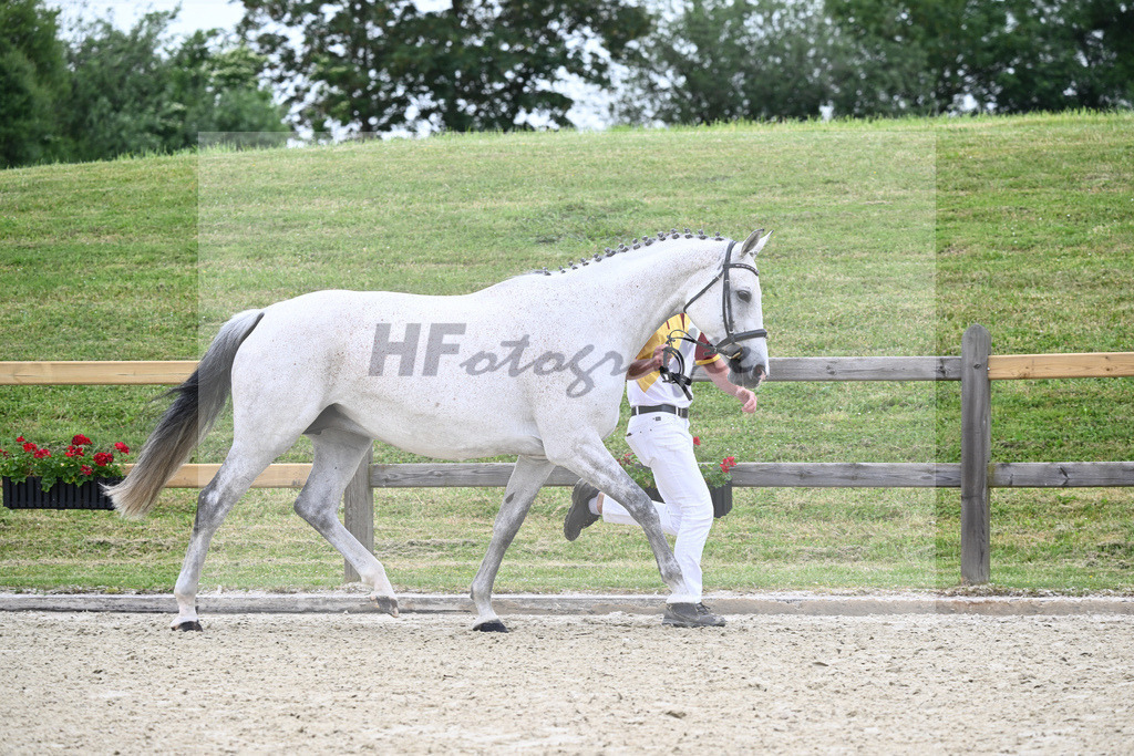 Kat-Nr. 2 HF Aganix Du Seigneur_Fischer_17230094 | hf-fotografie - Realizzato con Pictrs.com