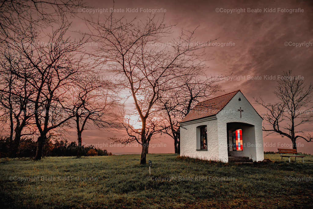 P1580650 | beatekidd-fotografie - Realisiert mit Pictrs.com