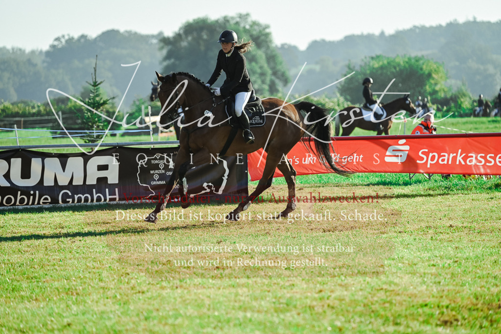 DSC_4519 | Pferde- und Turnierfotografie in Westsachsen. Pferdeportraits, Auftragszeichnungen und intuitive Kunst.