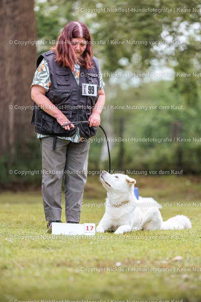RO-Blumenthal-2026-Nickbest-Hundefotografie-5064 | Dein Hund! Dein Moment! Deine Erinnerungen! Hundefotografie in Bremen Blumenthal. Ich fange die besonderen Momente deines Vierbeiners ein – ob Indoor mit Blitzanlage oder in der freien Natur. Sicher dir dein Moment und dein Termin für eure Erinnerungen.