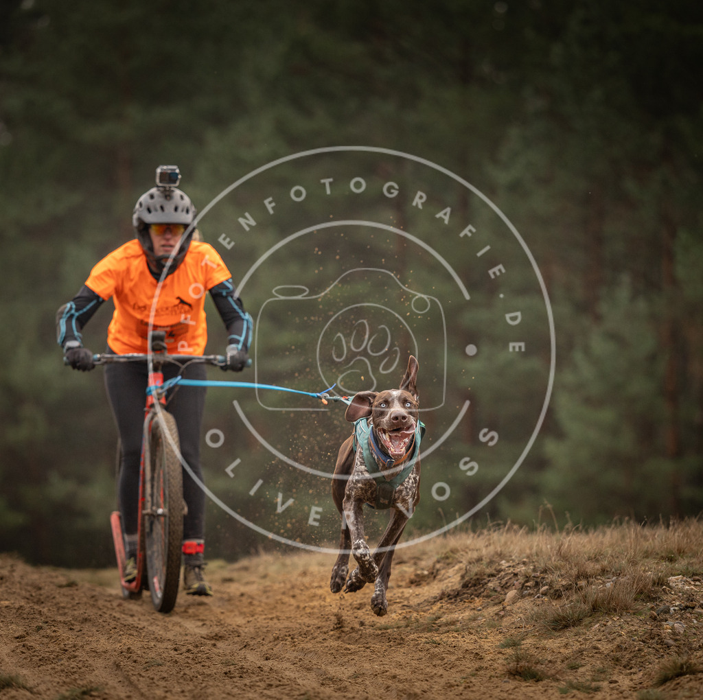 Pfotenfotografie_DV3A4577 | Hundefotografie, Tierfotograf, Pfotenfotografie, Fotoshooting Hund, Hunde Portrait, Hundesport, Hundeportraits, Heideshooting, Hunde, Sportfotograf, Hundefotograf, Turnierhundsport, THS,  - Realisiert mit Pictrs.com