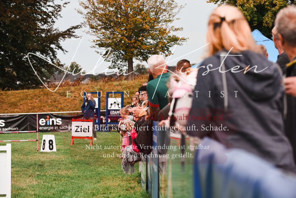 DSC_4073 | Pferde- und Turnierfotografie in Westsachsen. Pferdeportraits, Auftragszeichnungen und intuitive Kunst.
