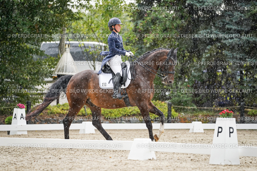 DSC08029 | Pferdegrafie