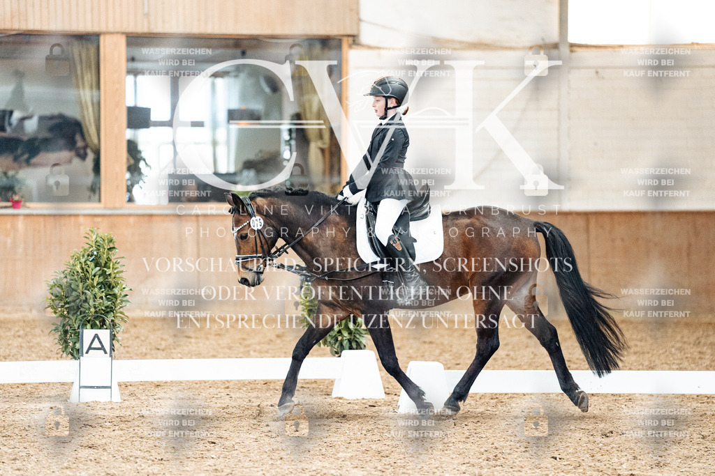 CK909922 | Turnierfotografie Pferdefotografie Trier Rheinland-Pfalz Pferdesport Reitsport Tierfotografie Sportfotografie Pferdevideo Pferdevideografie Equestrianvideography equestrianphotography  - Realized with Pictrs.com