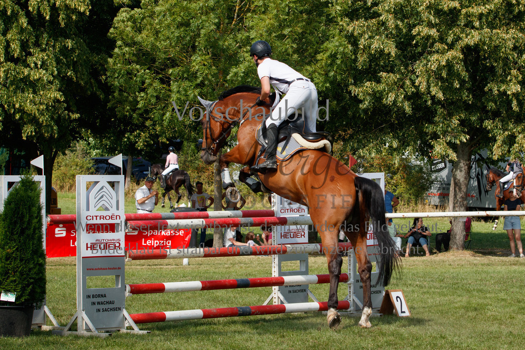 IMG_3674 | P. Berger Fotografie - Realisiert mit Pictrs.com