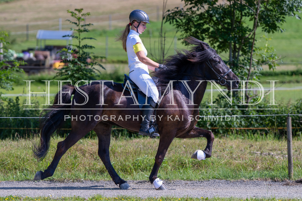 KAI06072 | Ihr sucht einen Fotografen für eure nächste OSI? Ich begleite auch euer Turnier für Islandpferde fotografisch.  - Realisiert mit Pictrs.com