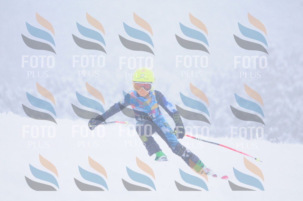 C2164 | holidayphoto