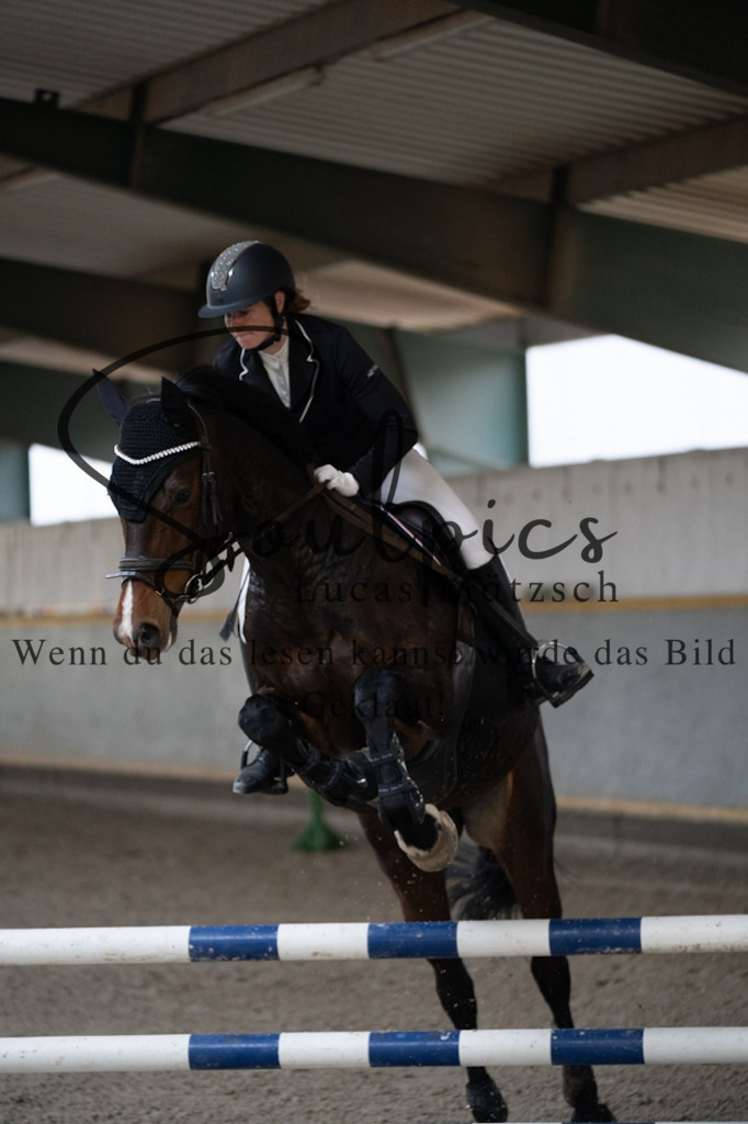 A7V07178 | Pferdefotograf