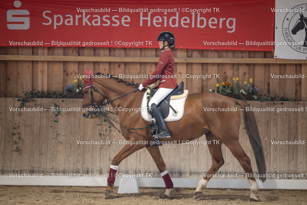 _D5A5500 | Emotionale Pferde- & People-Fotografie rund um Heidelberg, Leimen & Umgebung. Natürliche Fotos von Pferd, Mensch & Familie. Jetzt Termin sichern!