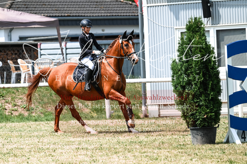 DSC_9181 | Pferde- und Turnierfotografie in Westsachsen. Pferdeportraits, Auftragszeichnungen und intuitive Kunst.