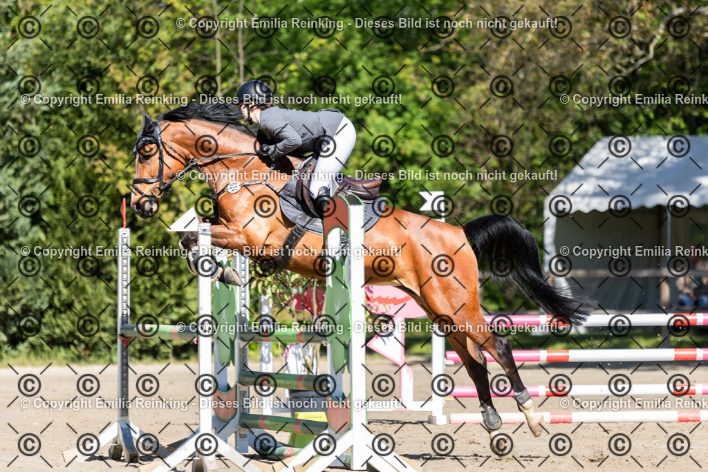 CL5A1769 | Emilia Reinking Fotografie - Realisiert mit Pictrs.com
