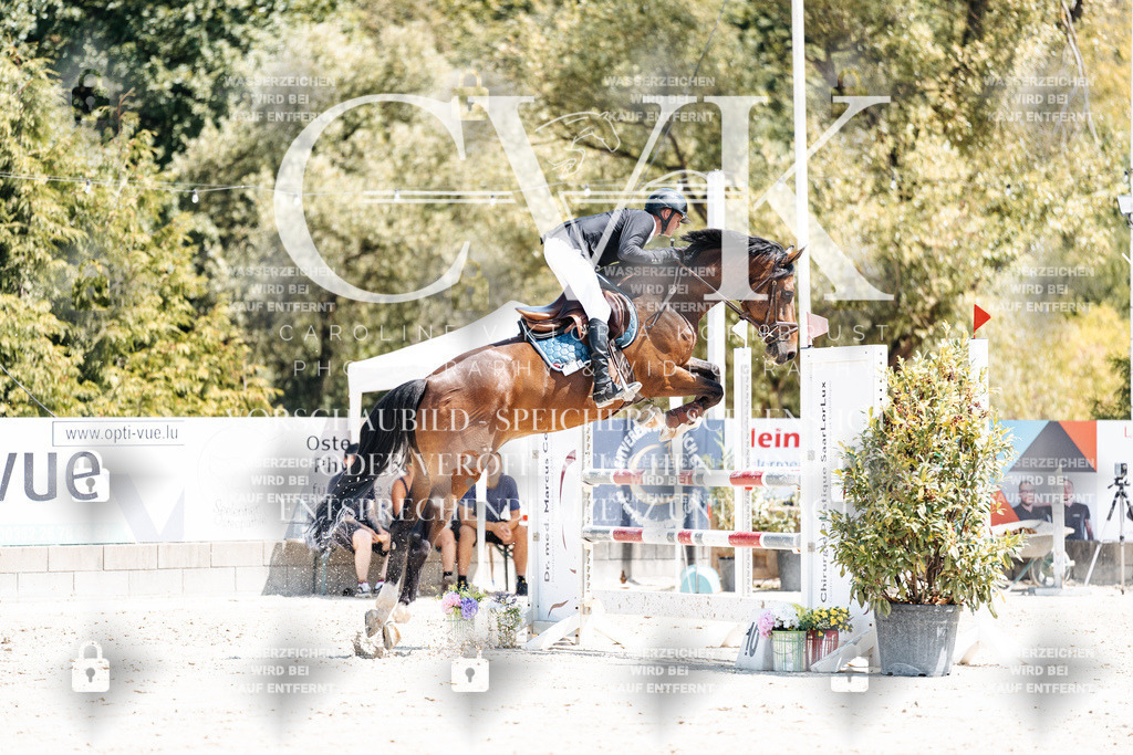 CK900148 | Turnierfotografie Pferdefotografie Trier Rheinland-Pfalz Pferdesport Reitsport Tierfotografie Sportfotografie Pferdevideo Pferdevideografie Equestrianvideography equestrianphotography  - Realisiert mit Pictrs.com