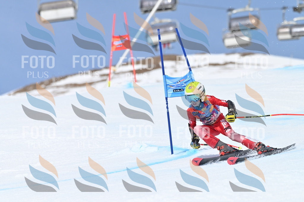 BGV_2730 | holidayphoto