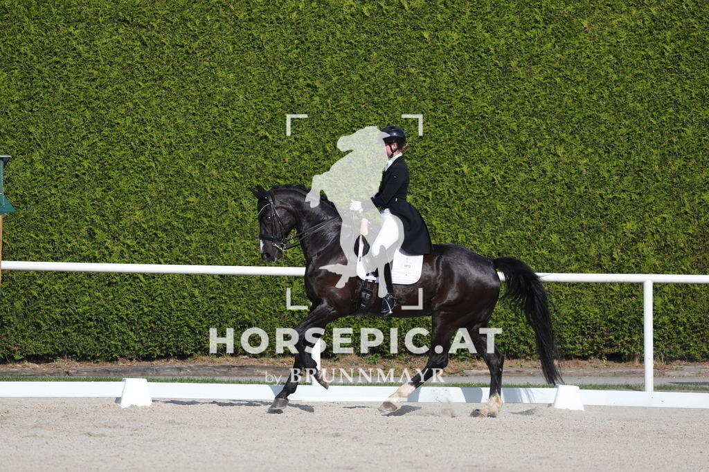 0P6A3550 | Willkommen bei Brunnmayr - Design & Fotografie – Ihrem Spezialisten für Reitturniere und Pferdeveranstaltungen in Oberösterreich, Salzburg und Bayern! Seit über 17 Jahren sind wir leidenschaftlich dabei.