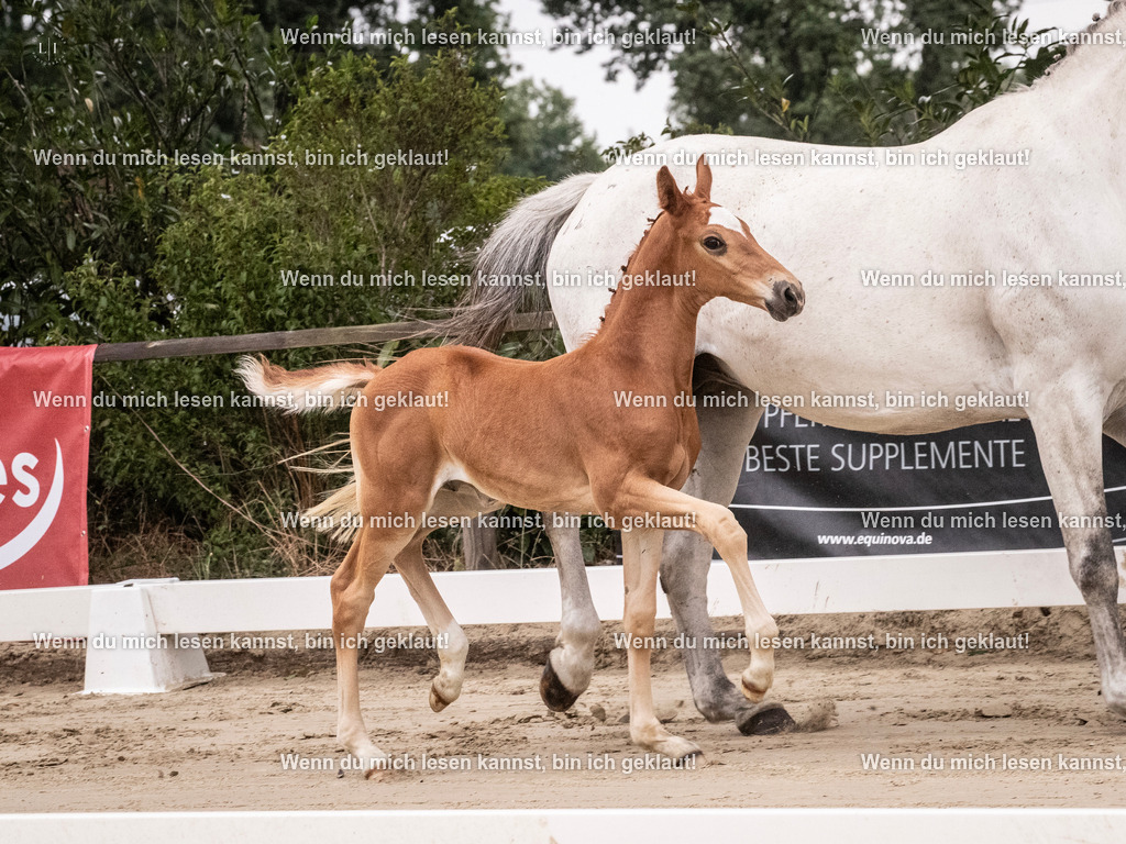 A10I9484 | photographylinaismer - Realisiert mit Pictrs.com
