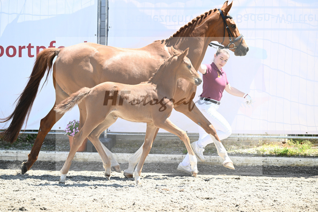 Kat-Nr. 28 SF Vaderland_ZG Weinmann_12230666 | hf-fotografie - Realizzato con Pictrs.com