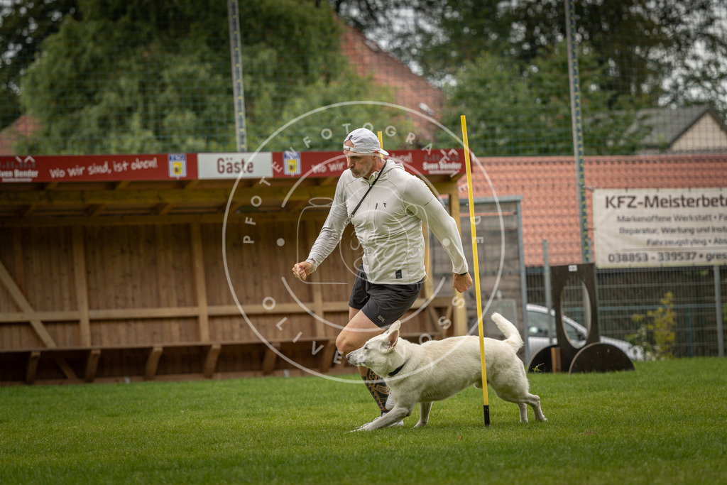 Pfotenfotografie_DV3A8139 | Hundefotografie, Tierfotograf, Pfotenfotografie, Fotoshooting Hund, Hunde Portrait, Hundesport, Hundeportraits, Heideshooting, Hunde, Sportfotograf, Hundefotograf, Turnierhundsport, THS,  - Realisiert mit Pictrs.com