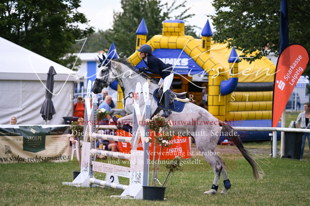 DSC_0933 | Pferde- und Turnierfotografie in Westsachsen. Pferdeportraits, Auftragszeichnungen und intuitive Kunst.