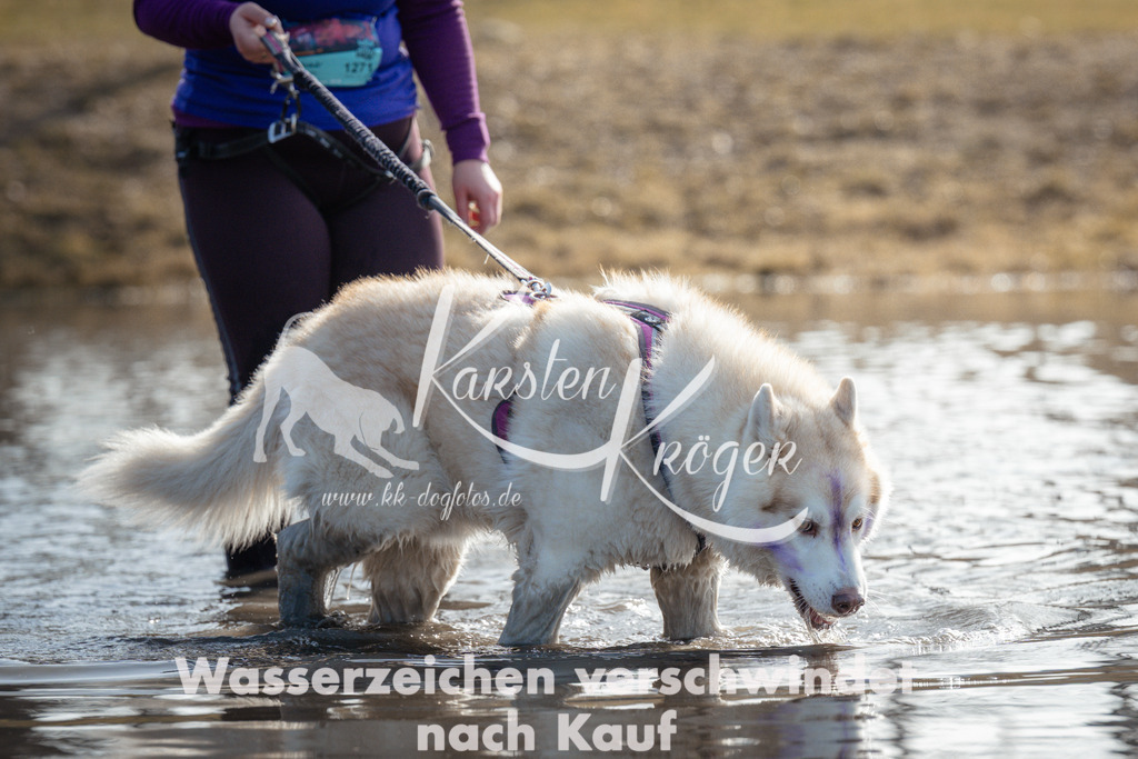 1118_ZZ93708 | kk-dogfotos