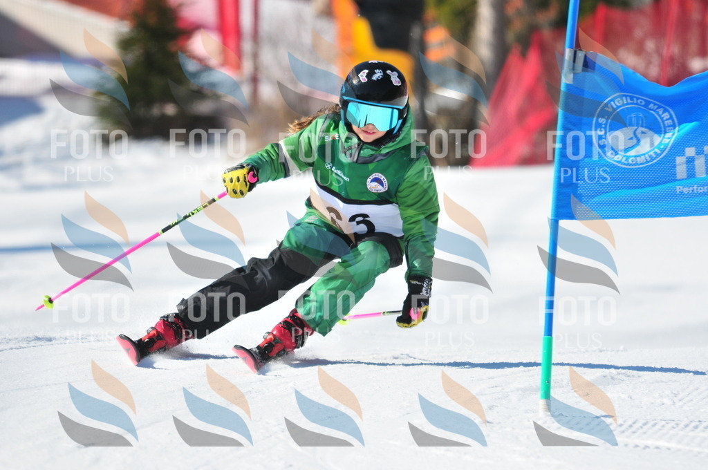 C2963 | holidayphoto