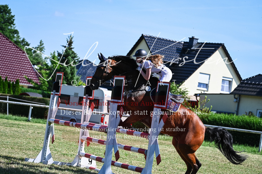 DSC_1694 | Pferde- und Turnierfotografie in Westsachsen. Pferdeportraits, Auftragszeichnungen und intuitive Kunst.